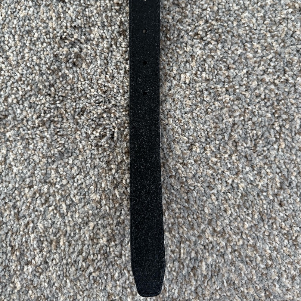 Aritzia Accent Solid Brass Leather Belt - Picture 11 of 11